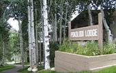Туры в отель Pokolodi Lodge