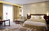 Туры в отель New World Dalian
