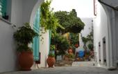 Туры в отель Aegean Village