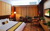 Туры в отель Wa king Town Hotel