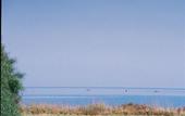 Туры в отель Bay View Apartments & Villas