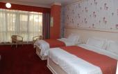 Туры в отель Alp Inn Hotel
