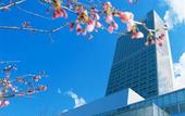 Туры в отель Nikko Niigata