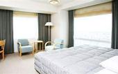 Туры в отель Nikko Niigata