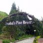 Туры в отель Kinabalu Pine Resort, оператор Anex Tour