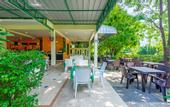 Туры в отель The Natural Resort