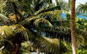 Туры в отель Villas Du Voyageur
