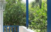 Туры в отель Adonis Hotel