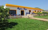 Туры в отель Aegean Sky Hotel and Suites