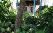 Туры в отель Agios Prokopios Hotel