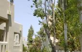 Туры в отель Atlantica Amalthia Beach Hotel