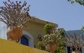 Туры в отель Arolithos Traditional Cretan Village