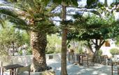 Туры в отель Hotel Christianna