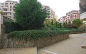 Туры в отель Royal Palm Aparthotel