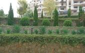 Туры в отель Royal Palm Aparthotel