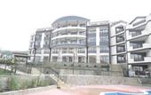 Туры в отель Royal Palm Aparthotel