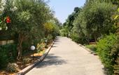 Туры в отель Bomo Europa Beach Hotel