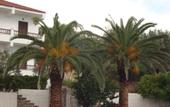 Туры в отель Glicorisa Beach Hotel