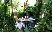 Туры в отель Bienville House
