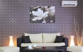 Туры в отель Rainbow Holiday Complex
