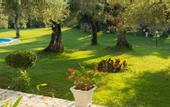 Туры в отель Saint Nicholas Hotel