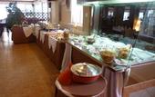 Туры в отель Halkidiki Royal Hotel