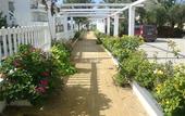 Туры в отель Halkidiki Royal Hotel