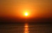 Туры в отель Halkidiki Royal Hotel