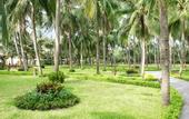 Туры в отель Sea Lion Beach Resort & Spa II
