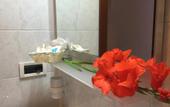 Туры в отель Hotel Gloria