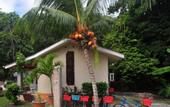 Туры в отель Birgo Guest House