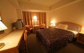 Туры в отель Narita Tobu Hotel Airport