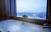 Туры в отель Cerulean Tower Tokyu