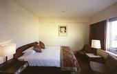 Туры в отель Grand Prince Hotel Takanawa
