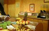 Туры в отель Botanico