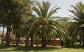 Туры в отель Pierre & Vacances Residence Mallorca Cecilia