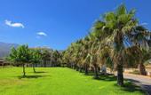 Туры в отель Aeolos Beach Resort
