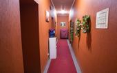 Туры в отель Премьера на Союза Печатников
