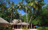 Туры в отель Biyadoo Island Resort Maldives