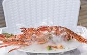 Туры в отель Aeolos Beach Resort