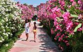 Туры в отель Life Atlibay Hotel