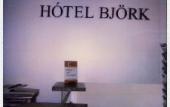 Туры в отель Bjork