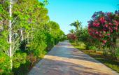 Туры в отель Venosa Beach Resort & Spa