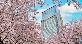 Mandarin Oriental 5*