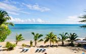 Туры в отель Black Parrot Suites