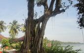 Туры в отель Goa Villa Holiday