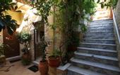 Туры в отель Sophia Hotel
