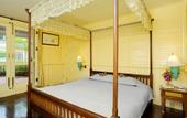 Туры в отель Buddy Lodge Hotel