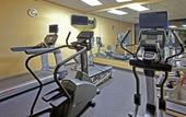 Туры в отель Holiday Inn Downtown San Diego