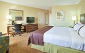 Туры в отель Holiday Inn Downtown San Diego